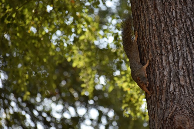 时间将证明 时间将证明