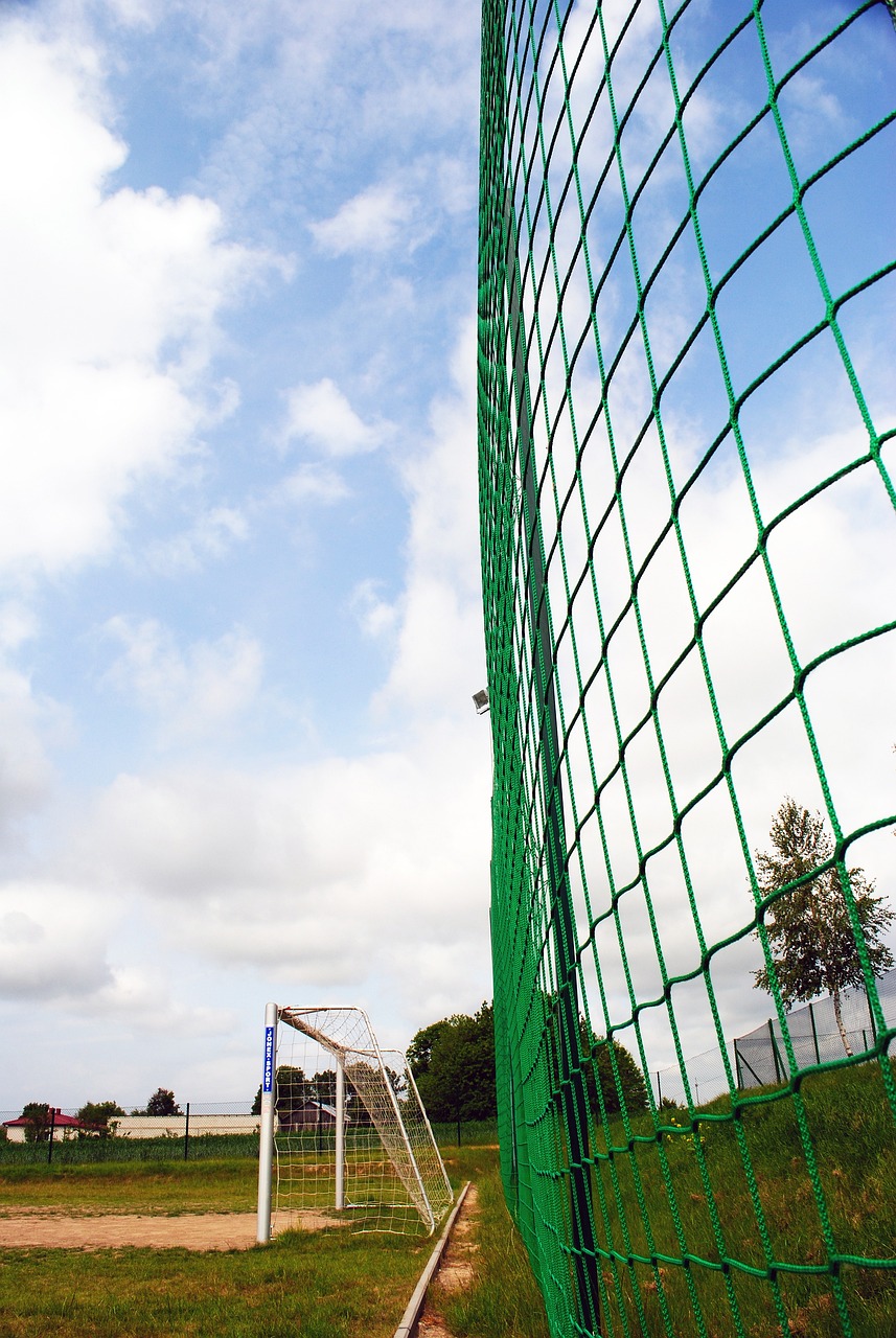 他的表现将 他的表现将