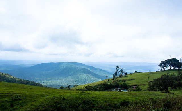 如何应对球 如何应对球