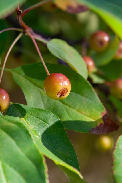 己逐渐享受 己逐渐享受