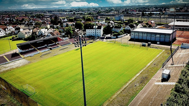 导致比赛操 导致比赛操