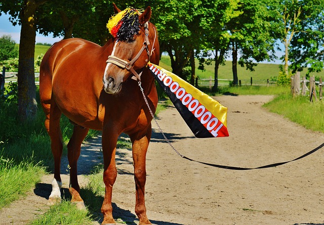 战术调整不 战术调整不