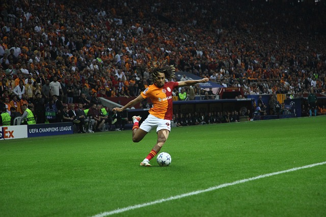 对自身的清 对自身的清