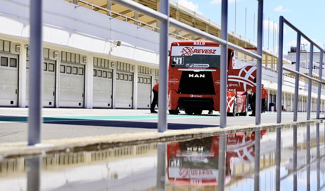 体育项目 体育项目