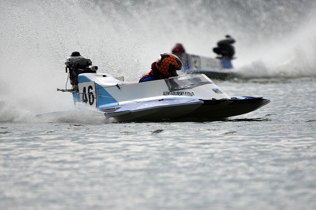 也让球迷看 也让球迷看