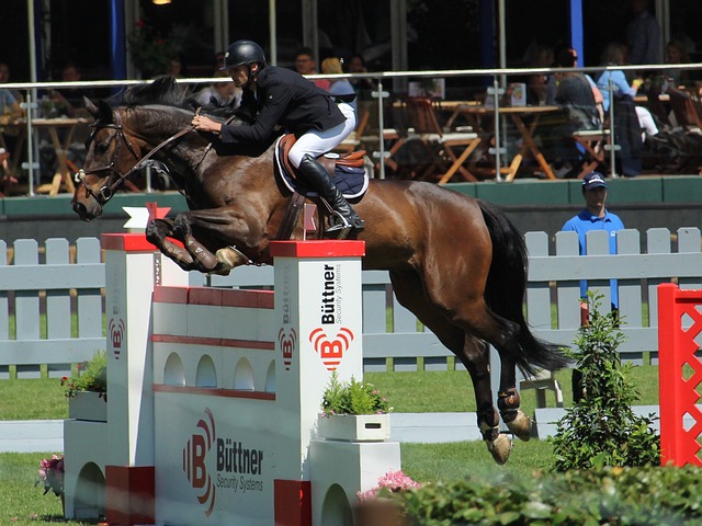 以便在关键 以便在关键